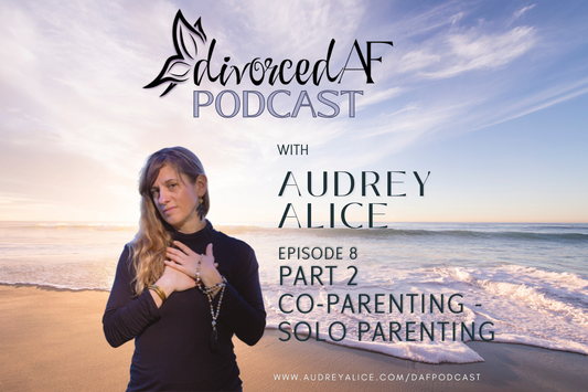 Ep 8 - Part 2 - Co-Parenting - Solo Parenting